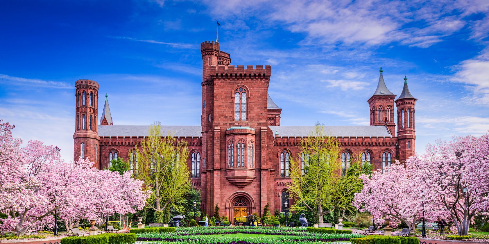 Smithsonian institution museums. Смитсоновский институт в Вашингтоне. Смитсоновский институт, Вашингтон, округ Колумбия. Смитсоновский музей комплекс. Смитовский институт музей.