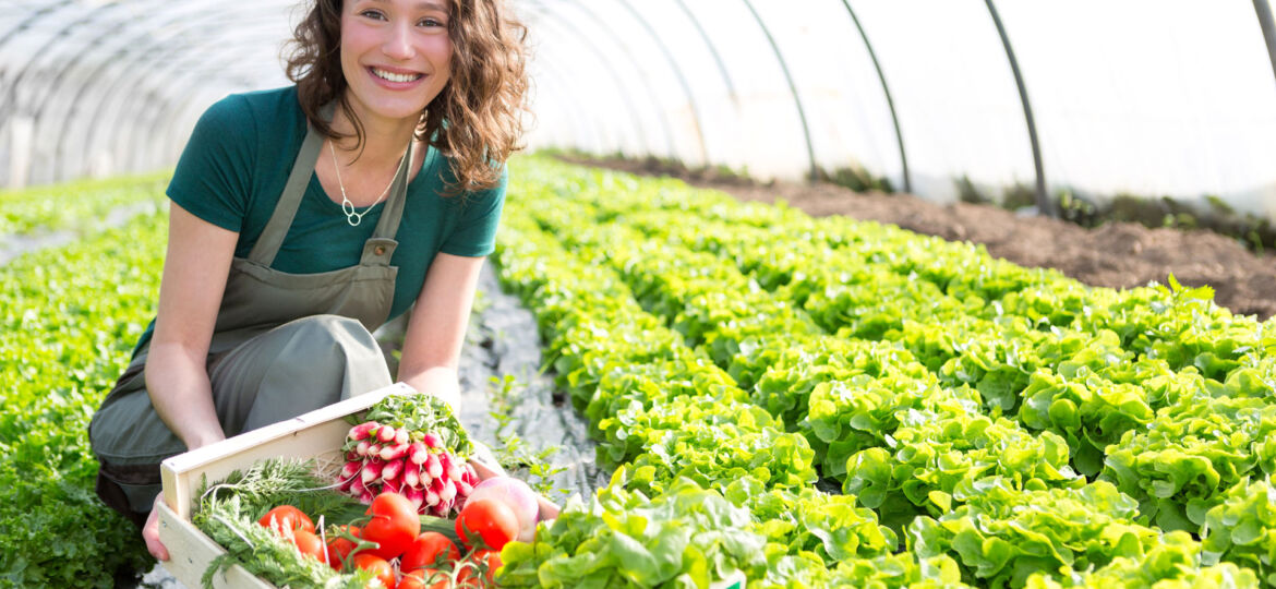 Greenhouse Solar Energy