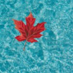 Winterize Your Pool
