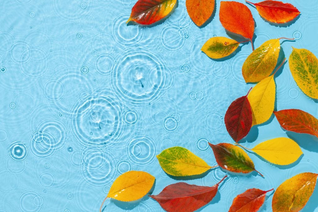 Colorful autumn leaves in shades of red, orange, and yellow float on a light blue water surface. Ripples and small circles spread across the water, suggesting raindrops hitting the surface, creating a serene and calming effect.