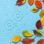 Colorful autumn leaves in shades of red, orange, and yellow float on a light blue water surface. Ripples and small circles spread across the water, suggesting raindrops hitting the surface, creating a serene and calming effect.