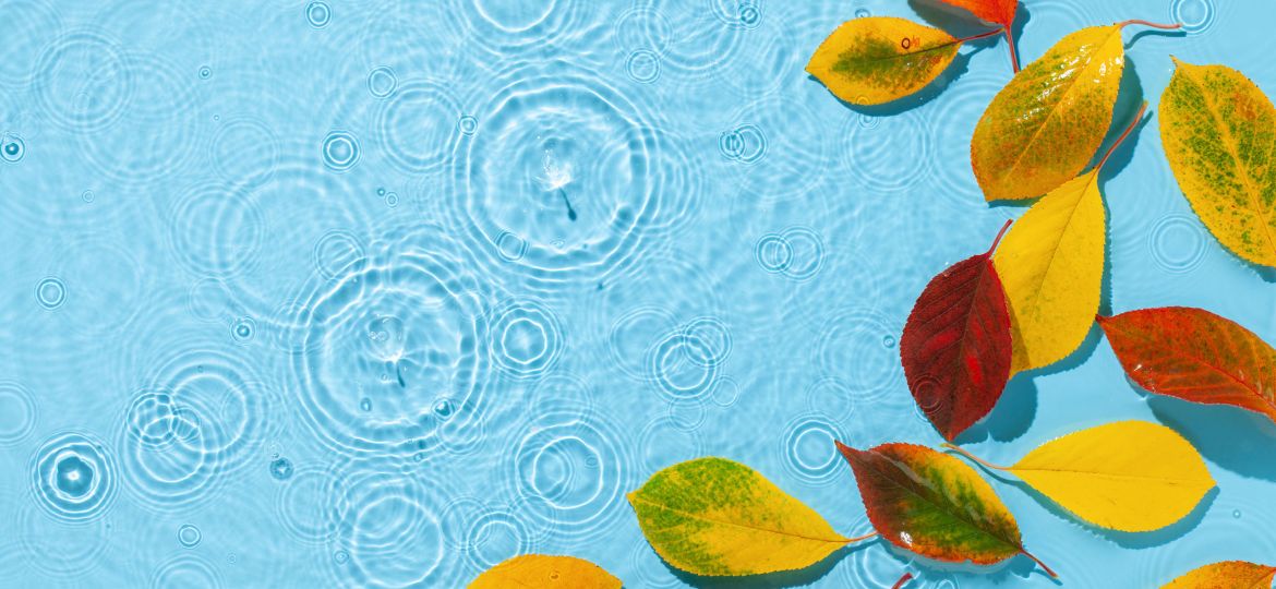 Colorful autumn leaves in shades of red, orange, and yellow float on a light blue water surface. Ripples and small circles spread across the water, suggesting raindrops hitting the surface, creating a serene and calming effect.